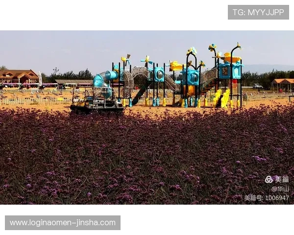 金沙第一娱乐娱城官网的安全保障措施与防作弊系统全面解析